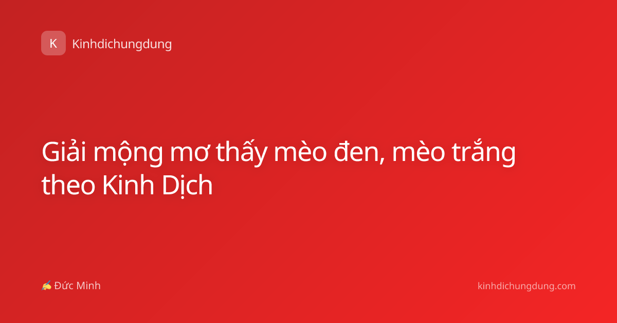 Giải mộng mơ thấy mèo đen, mèo trắng theo Kinh Dịch